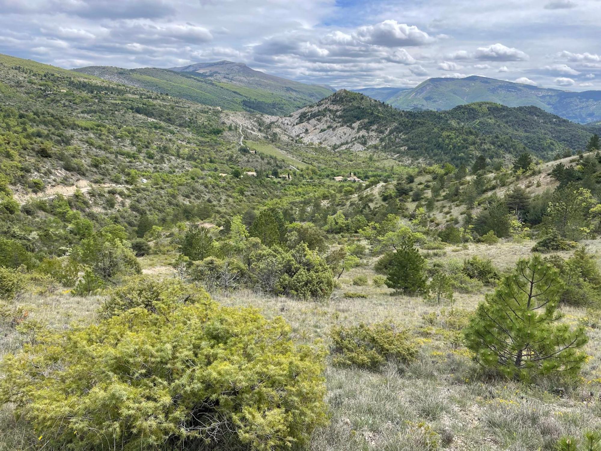 La Maison De Vergol Montbrun-les-Bains Εξωτερικό φωτογραφία